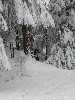  - Nouvelles photos des boubous dans la neige dans photos et vidéos !