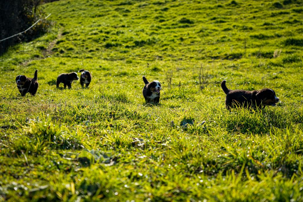 De L'horizon Des Costes - Plus de photos portée Stella Rainbow dans "Photos et Vidéos"